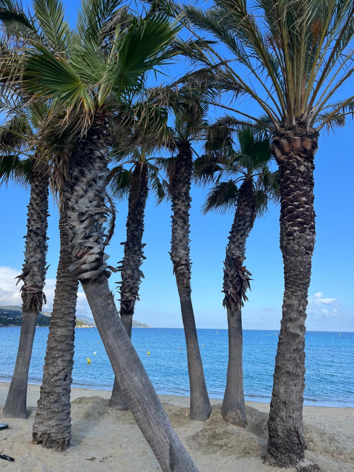 Le Lavandou St Clair エクステリア 写真